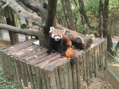 -云南野生动物园