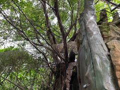 -长鹿旅游休博园