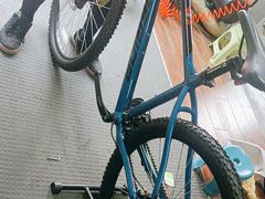 -道路口单车爱瓦士dahon大行