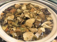 -山菌美食苑(振兴路店)