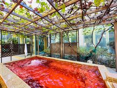 -春晖园度假酒店温泉