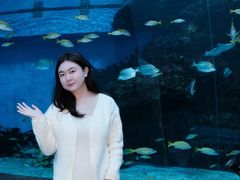 -海合安成都极地海洋公园