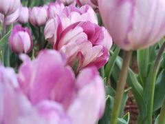 -渣打银行（中国）(北京分行)