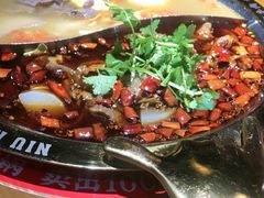 -受气牛肉·重庆耙牛肉(来福士店)