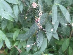 -南京金牛湖风景区