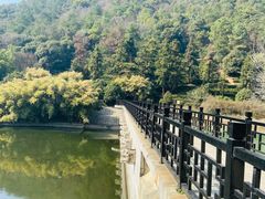 -九龙潭景区