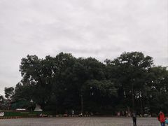 -峨眉山报国寺