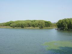 -昆山城市生态森林公园