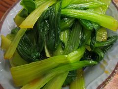 -九斤黄三黄鸡专卖店