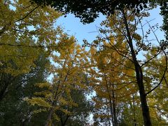 -汉江湾体育公园