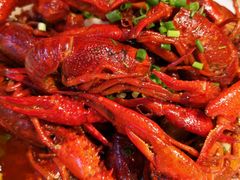 金奖麻辣小龙虾-霸王虾·麻辣小龙虾(清水河公园店)