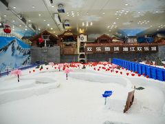 -湘江欢乐城欢乐雪域