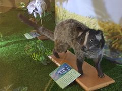 -下渚湖国家湿地公园科普馆