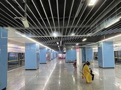 -大龙山(地铁站)