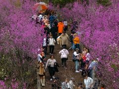 -天台山赤城山景区