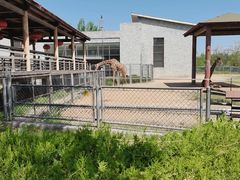 -石家庄市动物园