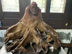 -王家大院
