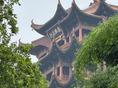 -黄鹤楼公园(黄鹤楼)