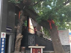 门面-海底捞火锅(泉城路店)