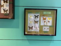 -上海昆虫博物馆