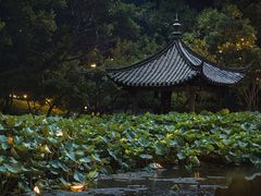-光明港公园