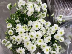 -鹿岛会员店 (龙湖三千集天街店)