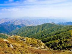 -苏木山森林公园