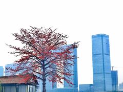 -喜洲吧·江畔老船厂·庭院餐厅(喜临院店)