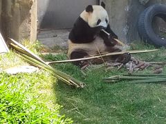 -大连森林动物园