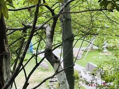 -峙山公园