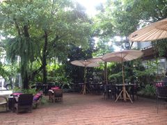 -Fern Forest Cafe