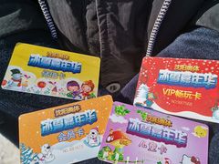 -沈阳奥体冰雪嘉年华