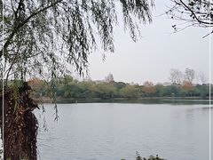 -上海野生动物园