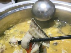 -严厨老坛酸菜鱼(吴江万宝店)