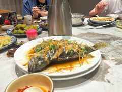 -生态苑农庄(十里画廊遇龙河店)