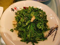 炝拌苦菊-纳家楼·地道陕菜(劳动路店)