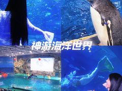 -威海华夏城景区