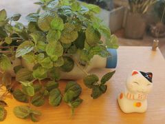 -左悦·艾灸调理·推拿按摩·精油SPA(卓悦汇店)