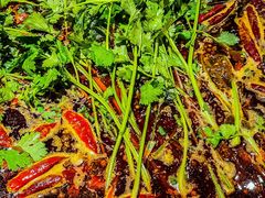 -小龙坎火锅(春熙太古里店)