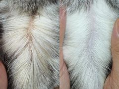 -喵汪宠物生活馆(涞坊路店)