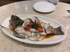 青花椒蒸鲈鱼-新宝餐厅(流塘店)