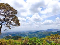 -黄埔油麻山森林公园