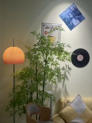 -变美丽半永久纹眉连锁·机器野生眉•洗眉