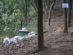-黄埔油麻山森林公园
