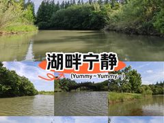 -南湖湿地公园