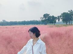 -汉长安城未央宫国家考古遗址公园