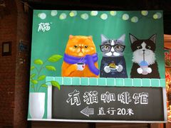 -有猫主题·治愈系猫咖(曾厝垵店)