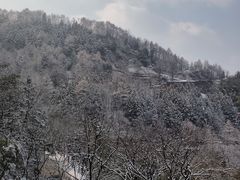 -四里河滨水生态公园