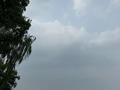 -西湖游船