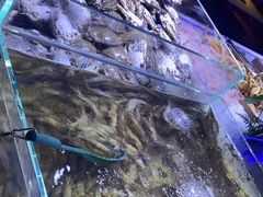 -聚盛源蒸汽海鲜火锅烤肉自助(巨川金海岸购物广场店)